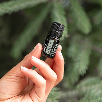 doTERRA Douglasie douglas fir