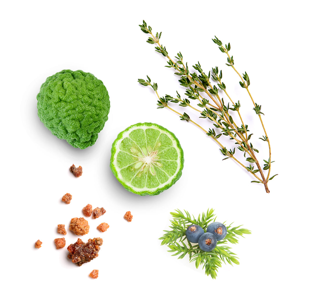 doTERRA forgive ätherische Ölmischung was ist enthalten