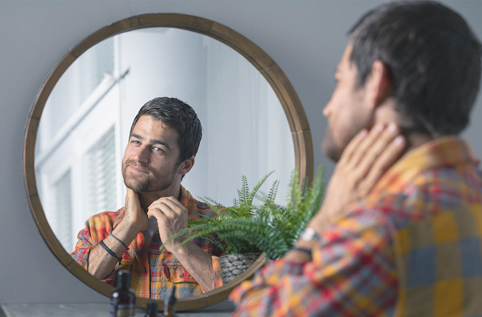 doTERRA Zitronenmelisse melissa everyday