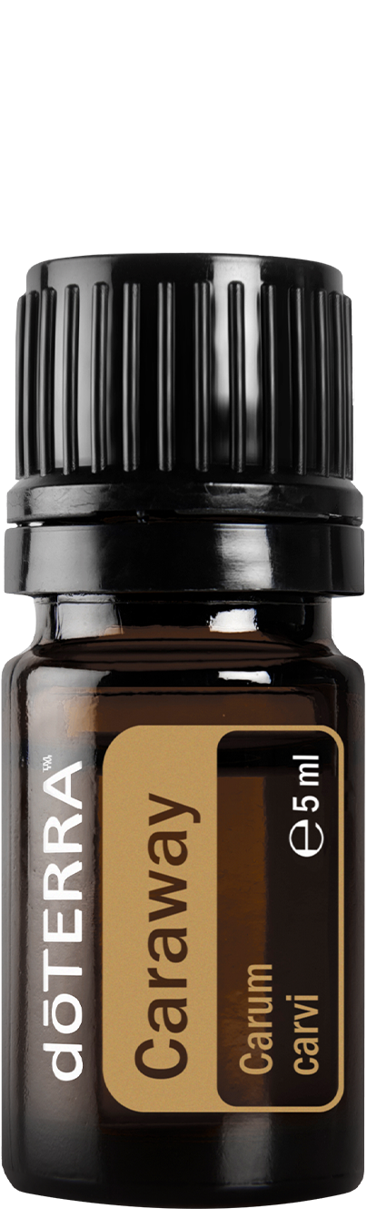 doTERRA Kümmel ätherisches Öl caraway 5 ml