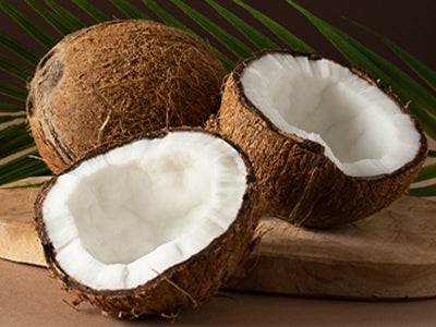 fraktioniertes Kokosöl - fractionated coconut oil