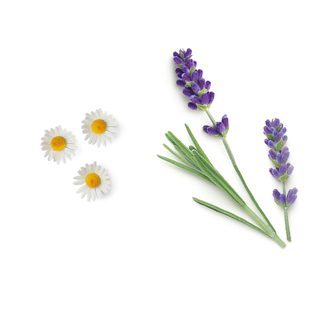 doTERRA Babyshampoo und Duschgel Inhaltsstoffe