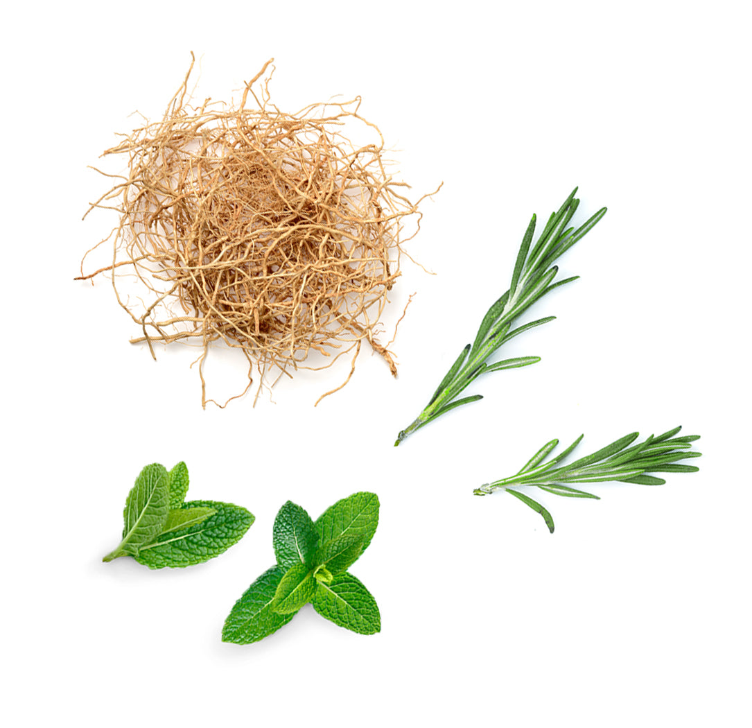 doTERRA thinker Inhaltsstoffe