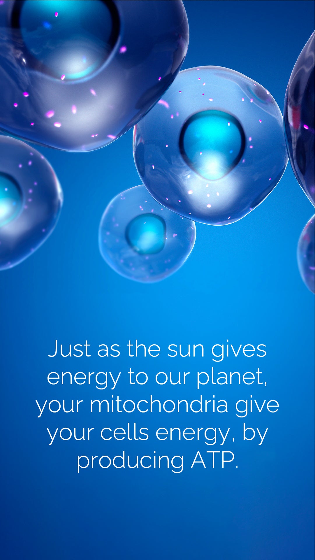 doTERRA MetaPWR Mito2max Pflanzenkapsel