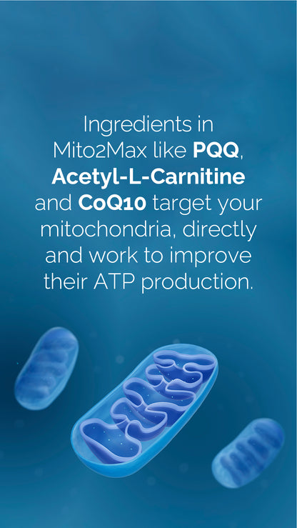 doTERRA MetaPWR Mito2max Pflanzenkapsel