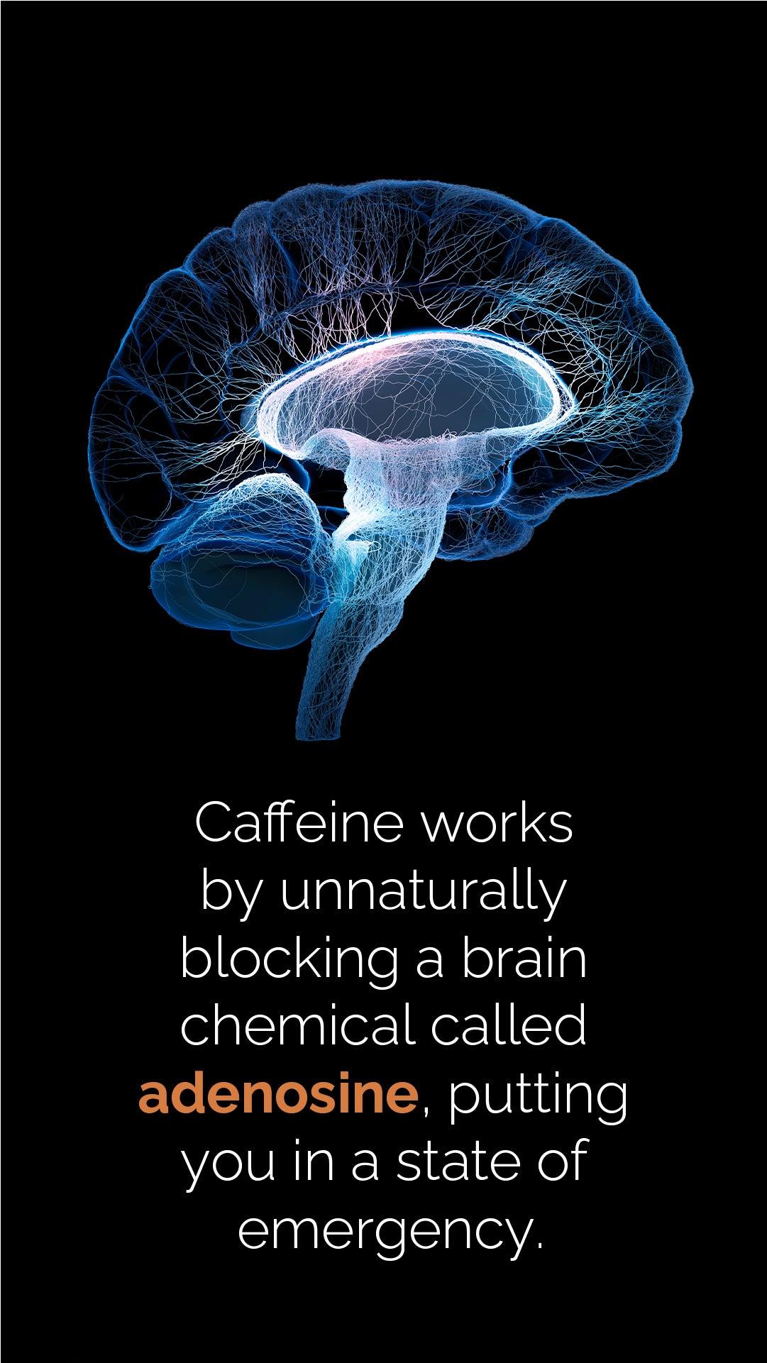 doTERRA MetaPWR Mito2max Pflanzenkapsel