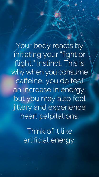 doTERRA MetaPWR Mito2max Pflanzenkapsel