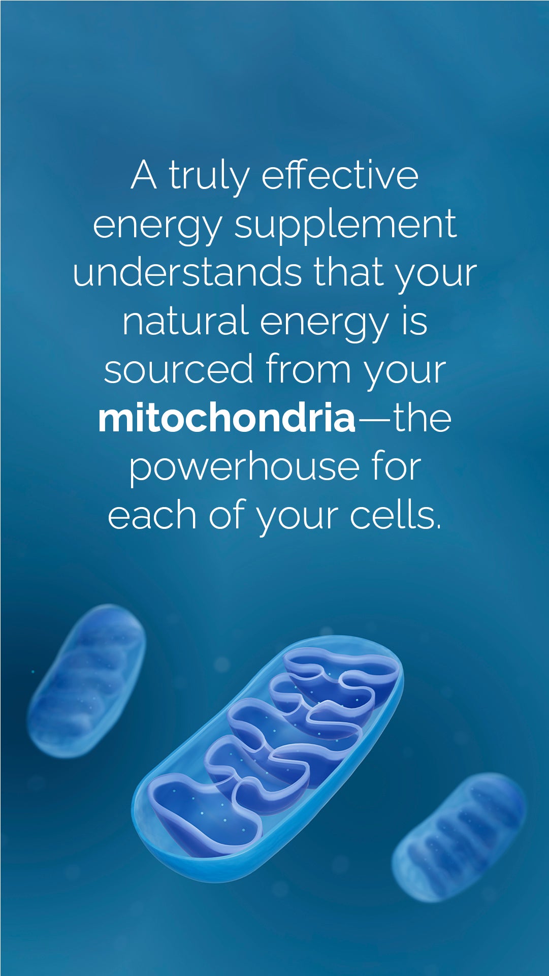 doTERRA MetaPWR Mito2max Pflanzenkapsel