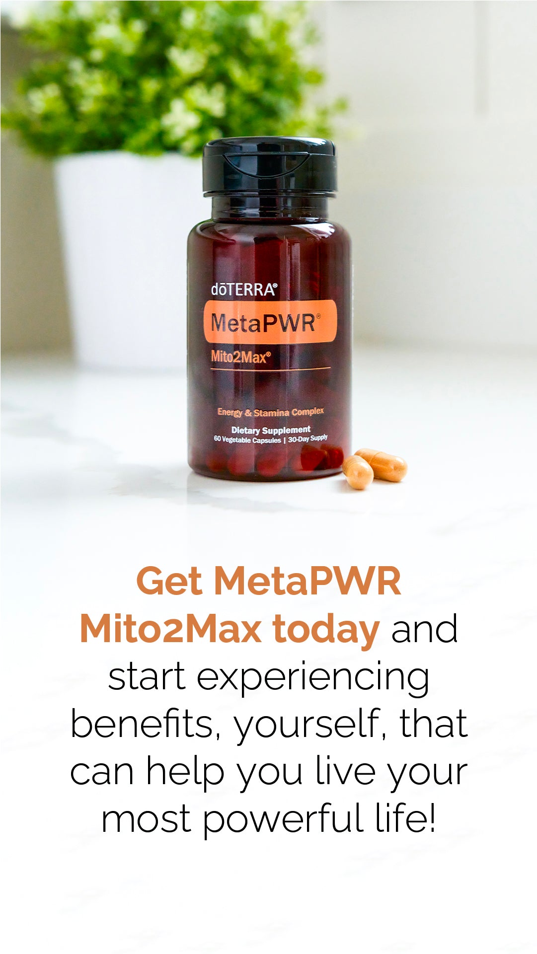 doTERRA MetaPWR Mito2max Pflanzenkapsel