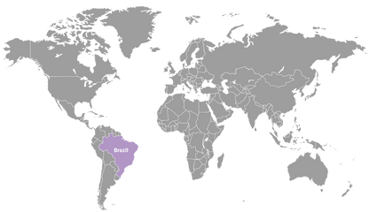 doTERRA Copaiba Beschaffung