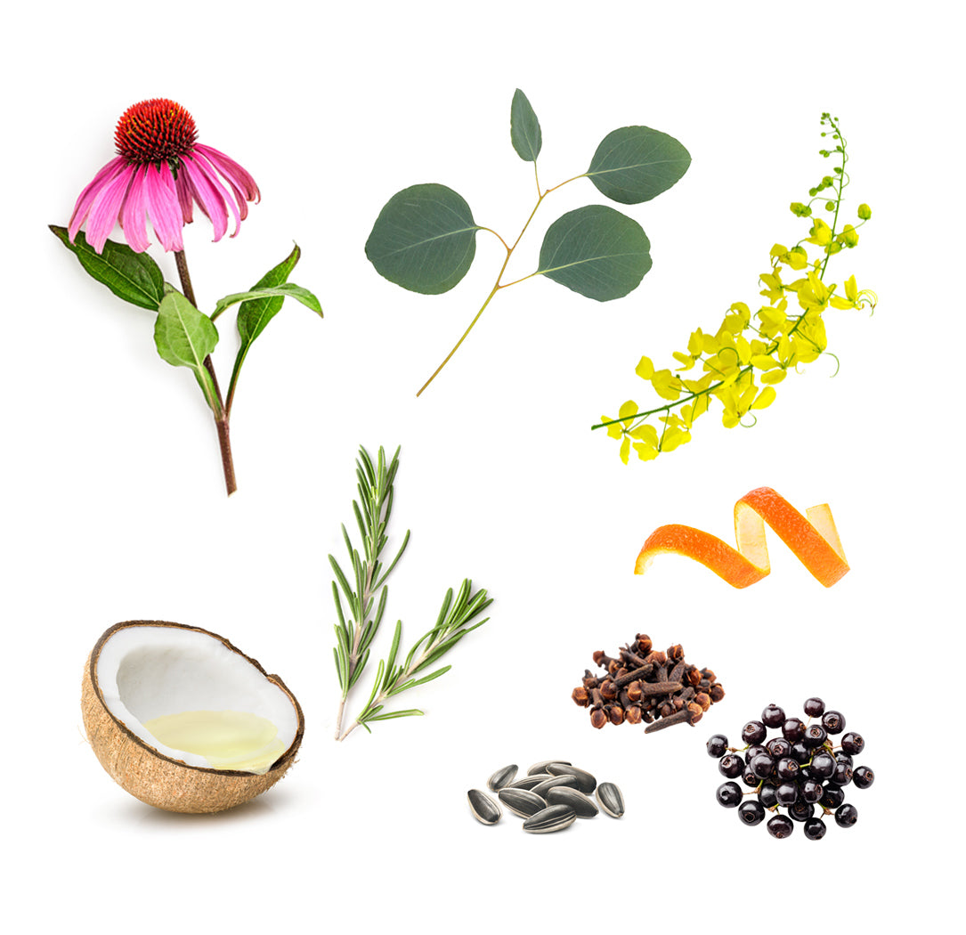 Doterra on guard stick with echinacea